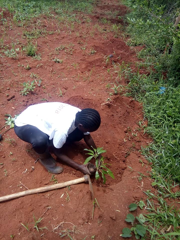 Siaya agricultural and land stewardship photo 2