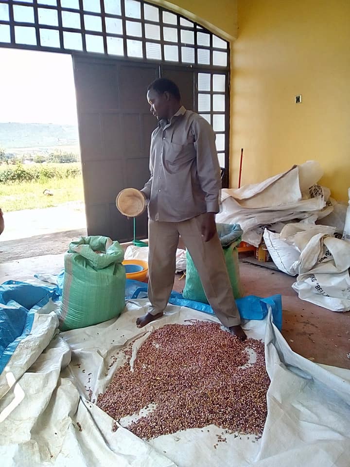 Siaya agricultural and land stewardship photo 8