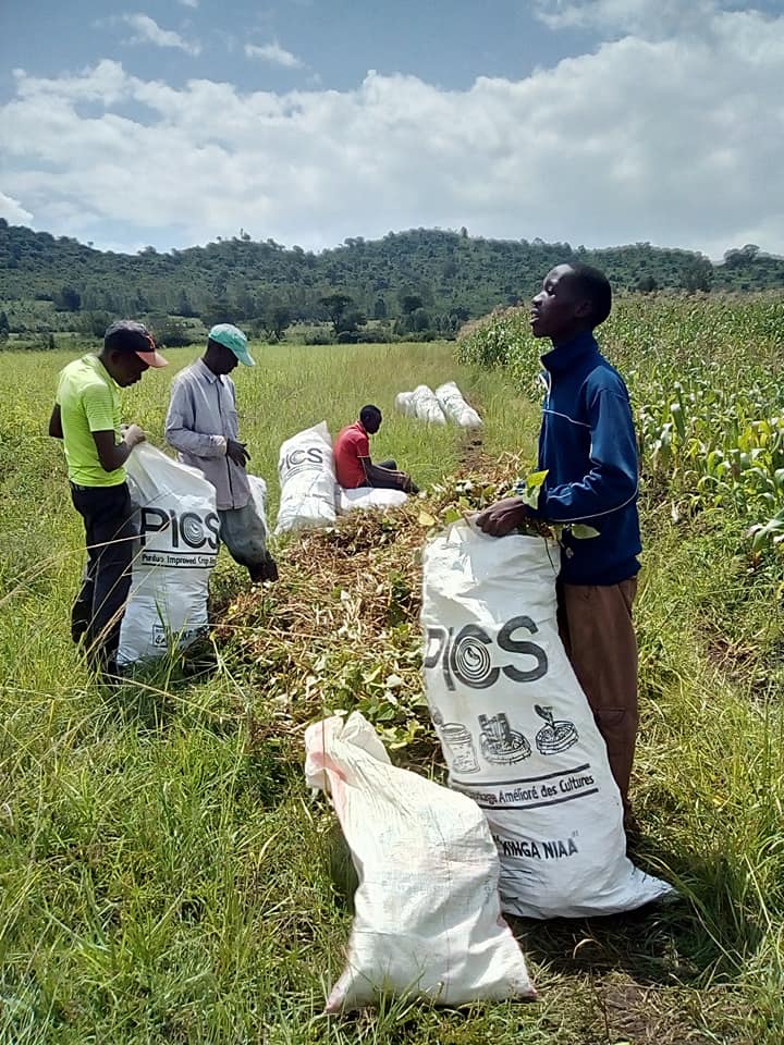 Siaya agricultural and land stewardship photo 9
