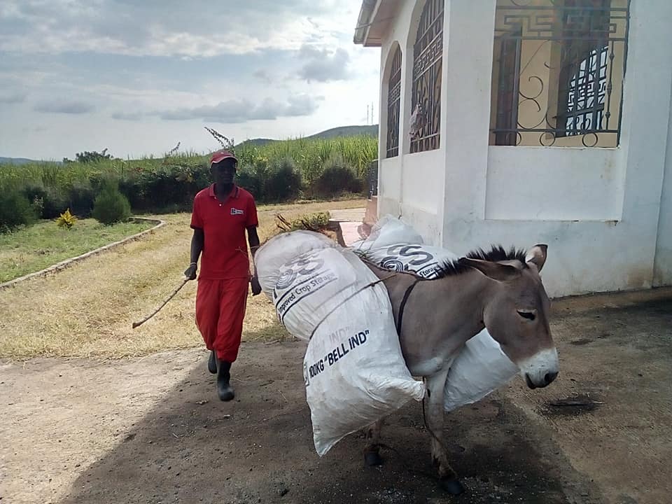 Siaya agricultural and land stewardship photo 18